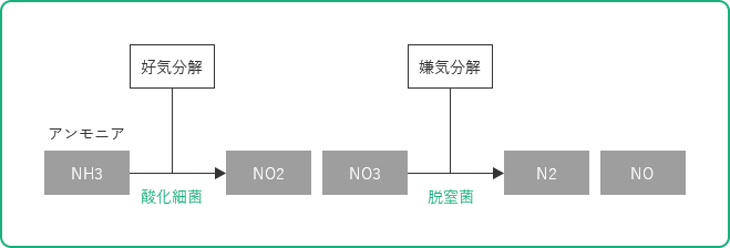 悪臭の構成要素の中でも大部分を占めるアンモニアの分解モデル